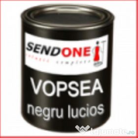 Vopsea și lac fier forjat